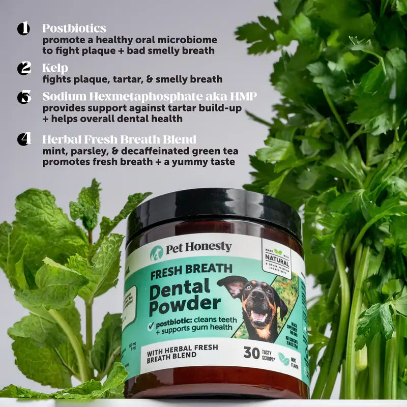 Dental Powder